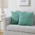 Everyday Living Textured Woven Decorative Pillow - 2 Pack Green Perspective: front