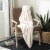 SAFAVIEH Marshmallow Throw Blanket Creme Perspective: front
