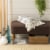 Safavieh Santi Throw - Grey Perspective: front