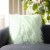 Safavieh Caelie Faux Fur Pillow - Mint Perspective: front