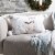 Safavieh Nutmeg Reindeer Pillow Perspective: front