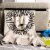 Safavieh Dandy Lion Baby Throw - Multicolor Perspective: front