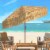 SAFAVIEH Outdoor Collection Tiki 9-Foot Crank Umbrella Tan Perspective: front