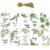 Wrapables Thank You Gift Tags for Weddings, Bridal & Baby Showers (50pcs), Green Nature Perspective: front