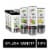 CELSIUS® Sparkling Splash Energy Drink Variety Pack Perspective: front