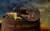 Old Croc® Reserve Sharp Cheddar Perspective: front