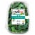 organicgirl 100% Baby Kale Perspective: front