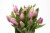 Fresh Cut Tulips Perspective: front