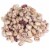 Dried Cranberry Beans - 8 Lbs Perspective: front