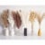 Bannifll, Dried Pampas Grass Bouquet, Boho Table Decor - 110 PCS Perspective: front