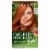 Clairol Natural Instincts Bold Hair Color C64 Copper Sunset Perspective: front