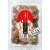 Organic Forest-grown Japanese Dried Shiitake Mushroom Donko 70g Perspective: front