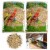 3.5lb Wild Bird Feed Mix Seed Blend Black Oil Sunflower Corn Food Attract Birds Perspective: front