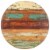 vidaXL Table Top Ø19.7 x(0.59 -0.63 ) Solid Reclaimed Wood Perspective: front