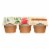 Santa Cruz Organic Apple Sauce - Cinnamon - Case of 12 - 4 oz. Perspective: front