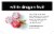 White Dragon Fruit Perspective: left