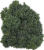 Broccolini Perspective: left