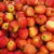 Large Ambrosia Apple - Each Perspective: left