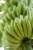 Fresh Banana - Single Perspective: left