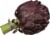 Ocean Mist Farms Purple Artichoke Perspective: left
