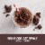 SlimFast Original Rich Chocolate Royale Meal Replacement Shakes Perspective: left