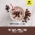 SlimFast Advanced Energy Mocha Cappuccino Meal Replacement Shake Perspective: left