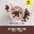 SlimFast High Protein + Energy Mocha Cappuccino Meal Replacement Shakes Perspective: left
