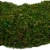 Northlight 13.7 Reindeer Moss Artificial Floral Spring Wreath - Unlit Perspective: left