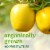 Simple Truth Organic® Opal® Apples Bag – 2 Pound Bag Perspective: left