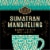 Private Selection® Fair Trade Sumatran Mandheling Medium-Dark Roast Whole Bean Coffee Perspective: left