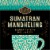 Private Selection® Fair Trade Sumatran Mandheling Medium-Dark Roast Whole Bean Coffee Perspective: left