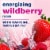Kroger® Energy Zero Sugar Wildberry Drink Mix Packets Perspective: left