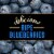 Private Selection® Blueberry Preserves Perspective: left