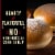 Private Selection® White Hamburger Buns Perspective: left