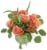 Bloom Haus™ Low Vase Trinity Floral Arrangement Perspective: left