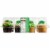 Bakery Fresh Goodness St. Patrick's Day Cupcakes Perspective: left