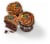 Bakery Fresh Goodness Chocolate Whipped Cream Cupcakes Perspective: left