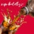 Kroger® Big K® Cola Soda Bottle Perspective: left