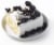Bakery Fresh Graduation White Quarter Sheet Cake Perspective: left