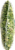 Kroger® Green Split Peas Perspective: left