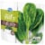 Kroger® Traditional Favorites Frozen Spinach Cut Perspective: left
