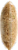 Kroger® Brown Long Grain Rice Perspective: left