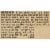 Purina® ALPO® T-Bonz® Ribeye Flavor Dog Treats Perspective: left