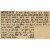 Purina® ALPO® T-Bonz® Ribeye Flavor Dog Treats Perspective: left