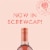 Oliver Winery Sweet Rose Wine Perspective: left