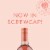 Oliver Winery Sweet Rosé Wine Perspective: left