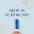 Oliver Vine Series Blueberry Moscato Wine Perspective: left