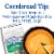 Martha White Self Rising Buttermilk Corn Meal Mix with Hot Rize, 5 Lb Bag Perspective: left