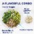 Birds Eye Veggies And Grains Green Goddess Vegetable Blend Frozen Vegetable Side Perspective: left