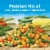 Birds Eye Steamfresh Mixed Vegetables Frozen Vegetables Perspective: left